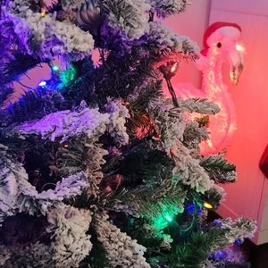 Meet your Posher, Addam